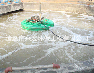 TLO2P立式環流曝氣機/TO2PJ推流式曝氣攪拌兩用機-諸暨市興宏環保工程有限公司